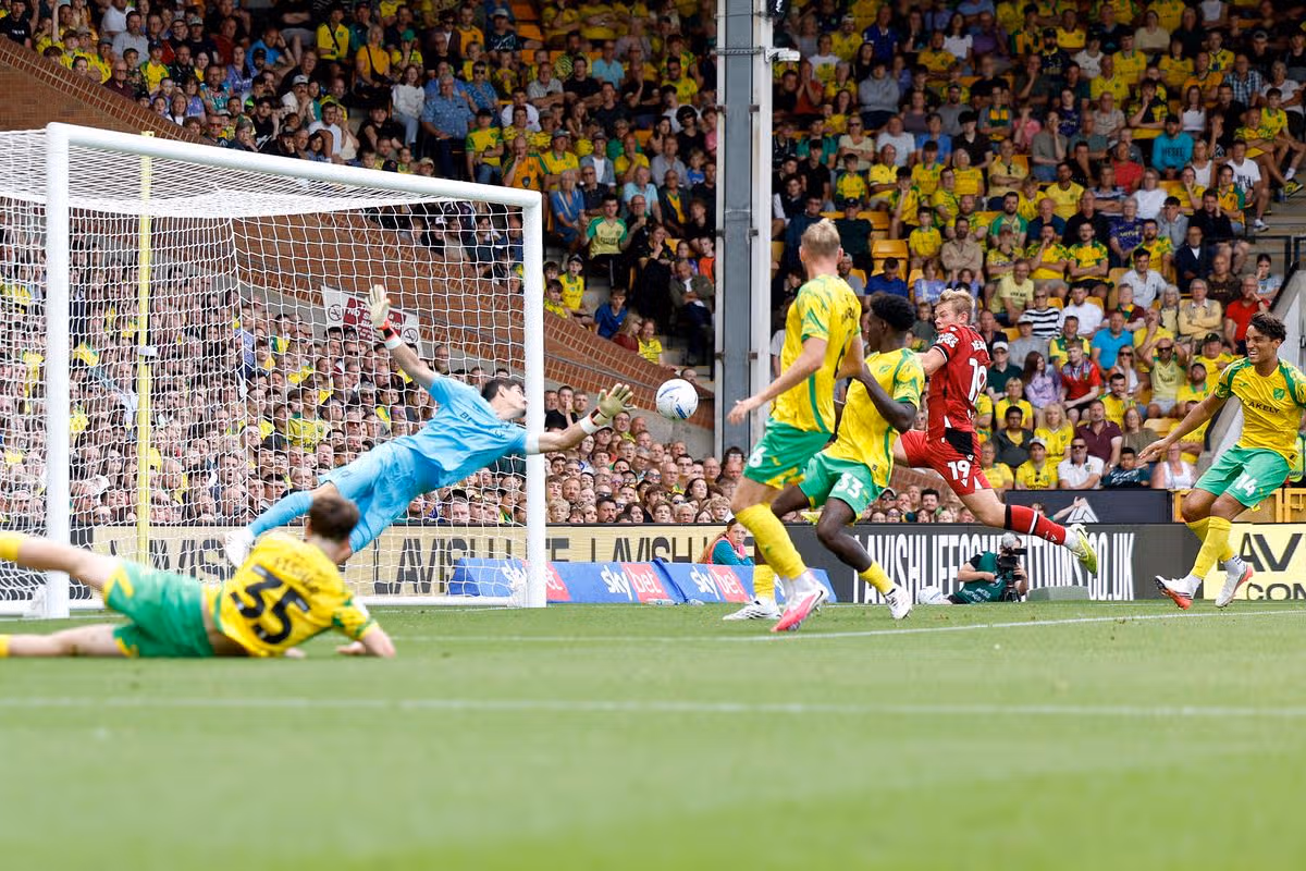 Norwich vs West Brom handball